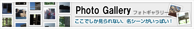 Photo Gallery フォトギャラリー