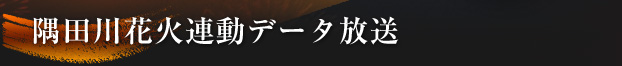 隅田川花火連動データ放送