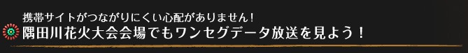 携帯サイトがつながりにくい心配がありません！隅田川花火大会会場でもワンセグデータ放送を見よう！