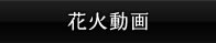 花火動画