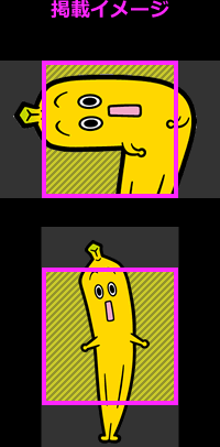掲載イメージ