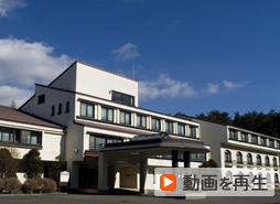 動画を再生