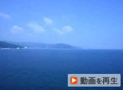 動画を再生