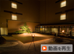 動画を再生