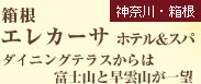 ＜箱根＞　箱根　エレカーサ　ホテル＆スパ