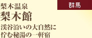 ＜群馬＞　梨木温泉　梨木館