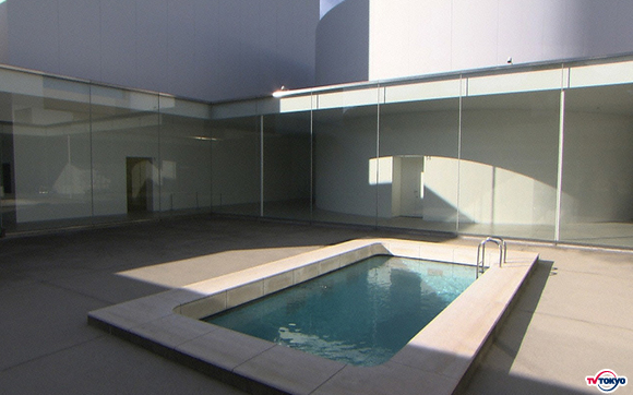 体験！錯覚！気づき！金沢21世紀美術館「スイミング・プール」エルリッヒの魔術とは！？