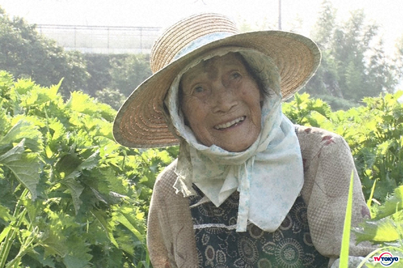 集落最高齢!衝撃生活をおくる超元気な95歳おばあちゃん。一人になってもこの地に居続ける理由とは?/ナゼそこ?