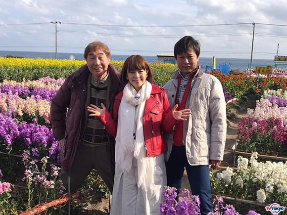 太川陽介＆蛭子能収が再びゆったり房総旅へ！今度はマドンナ・さとう珠緒も登場！？「いい旅・夢気分スペシャル」