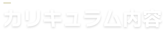 カリキュラム