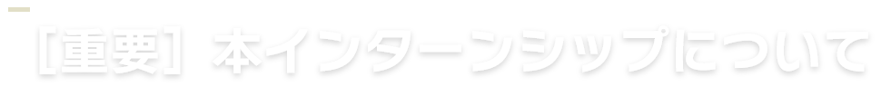 今後のインターンシップについて