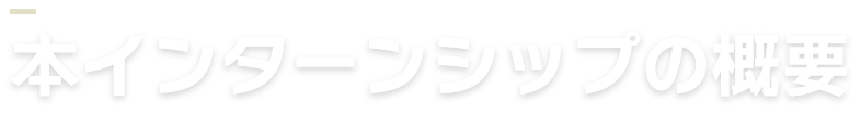 本インターンシップの概要