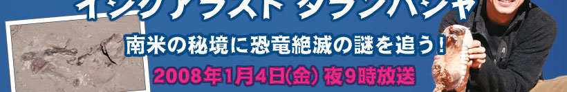 ����^���}���A�h�x���`���[�X�y�V�����w�C�V�O�A���X�g �^�����p�W���@��Ă̔鋫�ɋ�����ł̓��ǂ��I�x