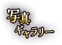 写真ギャラリー