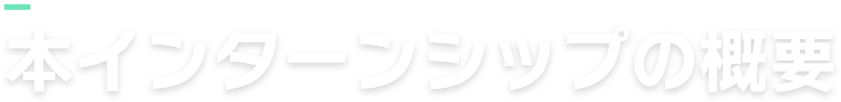 本インターンシップの概要