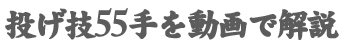 柔道技55