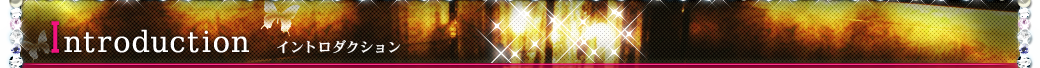 Introduction～イントロダクション～