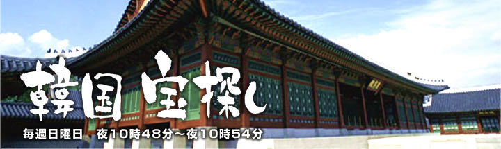 韓国宝探し