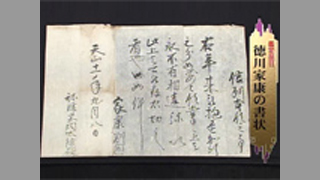 徳川家康の書状