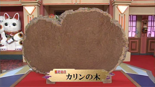 カリンの木