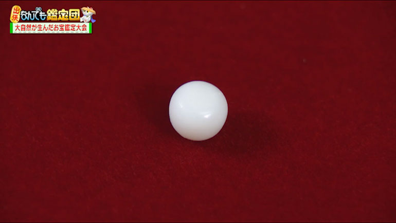 ハマグリの真珠