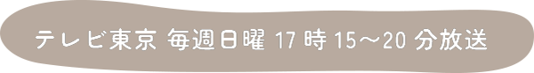 テレビ東京 毎週日曜17時15〜20分放送