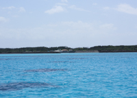 写真：小浜島の港