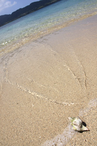 写真：砂浜