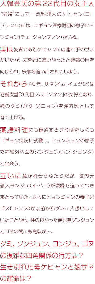 大韓金氏の第22代目の女主人“宗婦”にして一流料理人のケヒャン（コ・ドゥシム）には、ユギョン医療財団の息子ヒョンミョン（チェ・ジョンファン）がいる。 
実は後妻であるケヒャンには連れ子のサネがいたが、夫を死に追いやったと疑惑の目を向けられ、宗家を追い出されてしまう。
それから40年、サネ（イム・イェジン）は老舗食堂「3代目ソルロンタン」の女将となり、 娘のグミ（パク・ソニョン）を漢方医として育て上げる。
薬膳料理にも精通するグミは奇しくもユギョン病院に就職し、 ヒョンミョンの息子で神経外科医のソンジュン（ハン・ジェソク）と出会う。
互いに惹かれ合ってふたりだが、彼の元恋人ヨンジュ（イ・ハニ）が復縁を迫ってつきまとっていた。さらにヒョンミョンの養子のゴヌ（コ・ユヌ）が以前からグミに片想いしていたことから、仲の良かった義兄弟ソンジュンとゴヌの間にも亀裂が…。
グミ、ソンジュン、ヨンジュ、ゴヌの複雑な四角関係の行方は？
生き別れた母ケヒャンと娘サネの運命は？