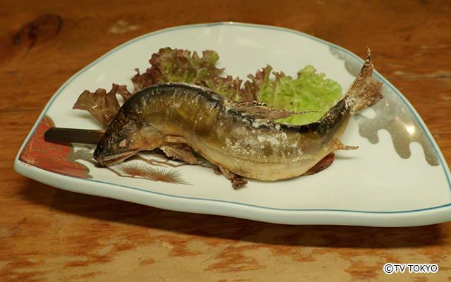  鮎塩焼き