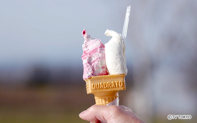  ジェラート（ハスカップヨーグルト＆北海道ミルク）
