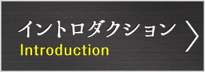 イントロダクション