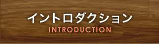 イントロダクション