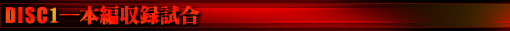 DISC1�\�{�Ҏ��^����