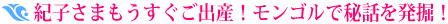 �I�q���܂��o�Y�ԋ߁I�����S���Ŕ�b�𔭌@�I