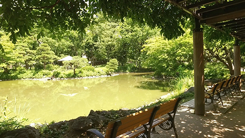 本多静六 日比谷公園 要潤 都会のオアシス 迷宮の森 バックナンバー 新美の巨人たち テレビ東京