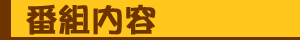�ԑg���e