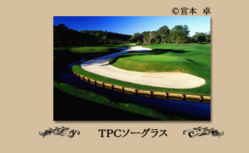 ＴＰＣソーグラス