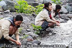 写真2