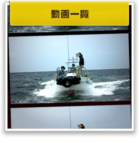 動画一覧
