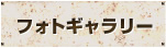 フォトギャラリー