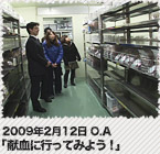 2009�N2��12��O.A