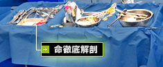 命徹底解剖
