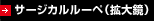 サージカルルーペ(拡大鏡)