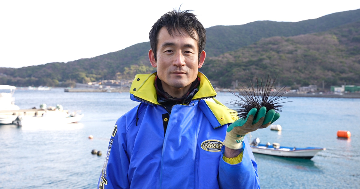 駆除していたウニを廃棄ブロッコリーでおいしく育てる　愛南町　清水陽介