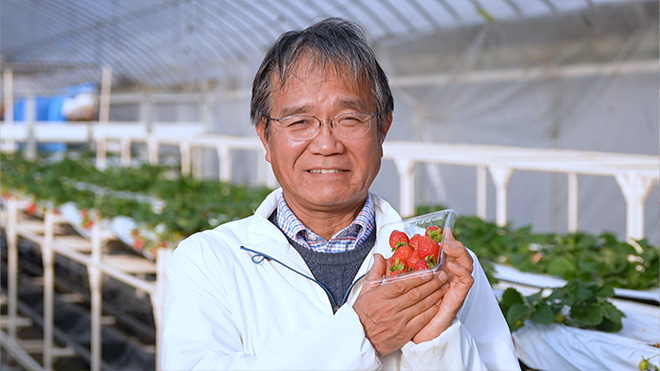 いちごを傷めずに収穫するロボット　アイナックシステム　稲員（いなかず）重典