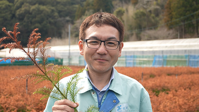 成長が早く花粉が少ないエリートツリー 日本製紙　根岸直希　