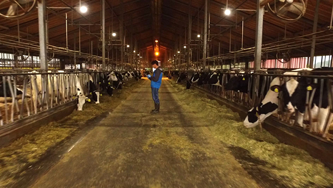 ＃6　牧場 450頭の乳牛の行動をIoTでリアルタイムに把握！