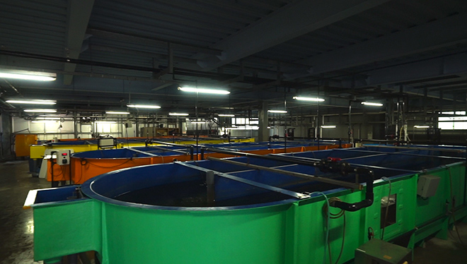 ＃18　養殖 第３の水「好適環境水」を使ってマグロを山の中で育てる！