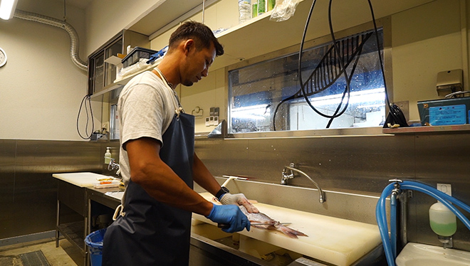 ＃21　冷凍技術 解凍しても美味しさそのまま！急速凍結技術